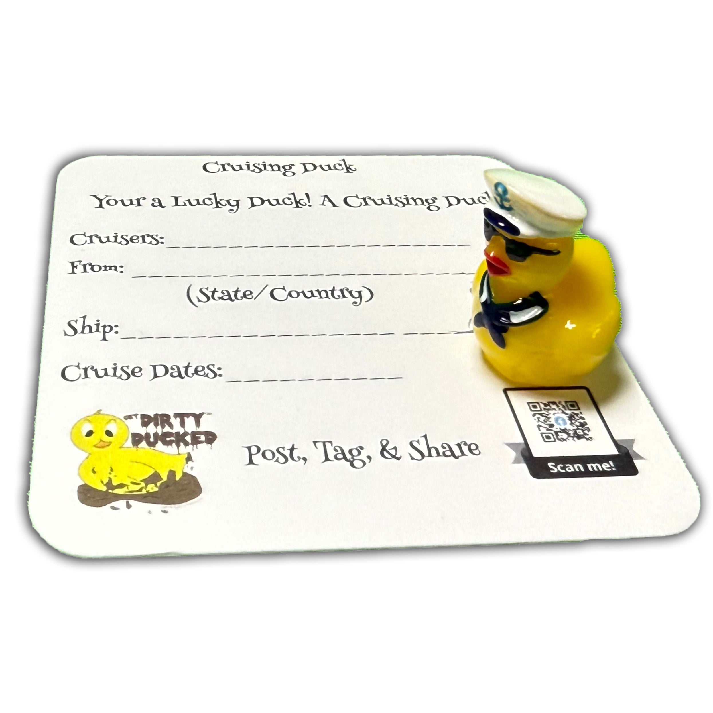 CRUISING SAILOR DUCK